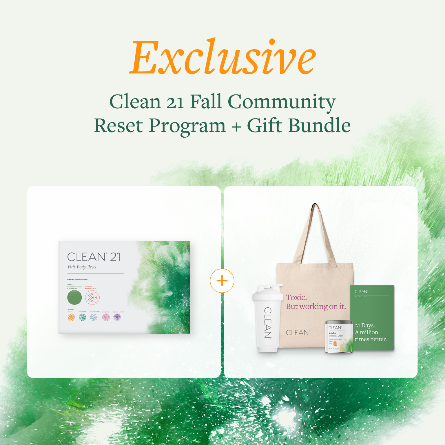 Fall Reset Group Program